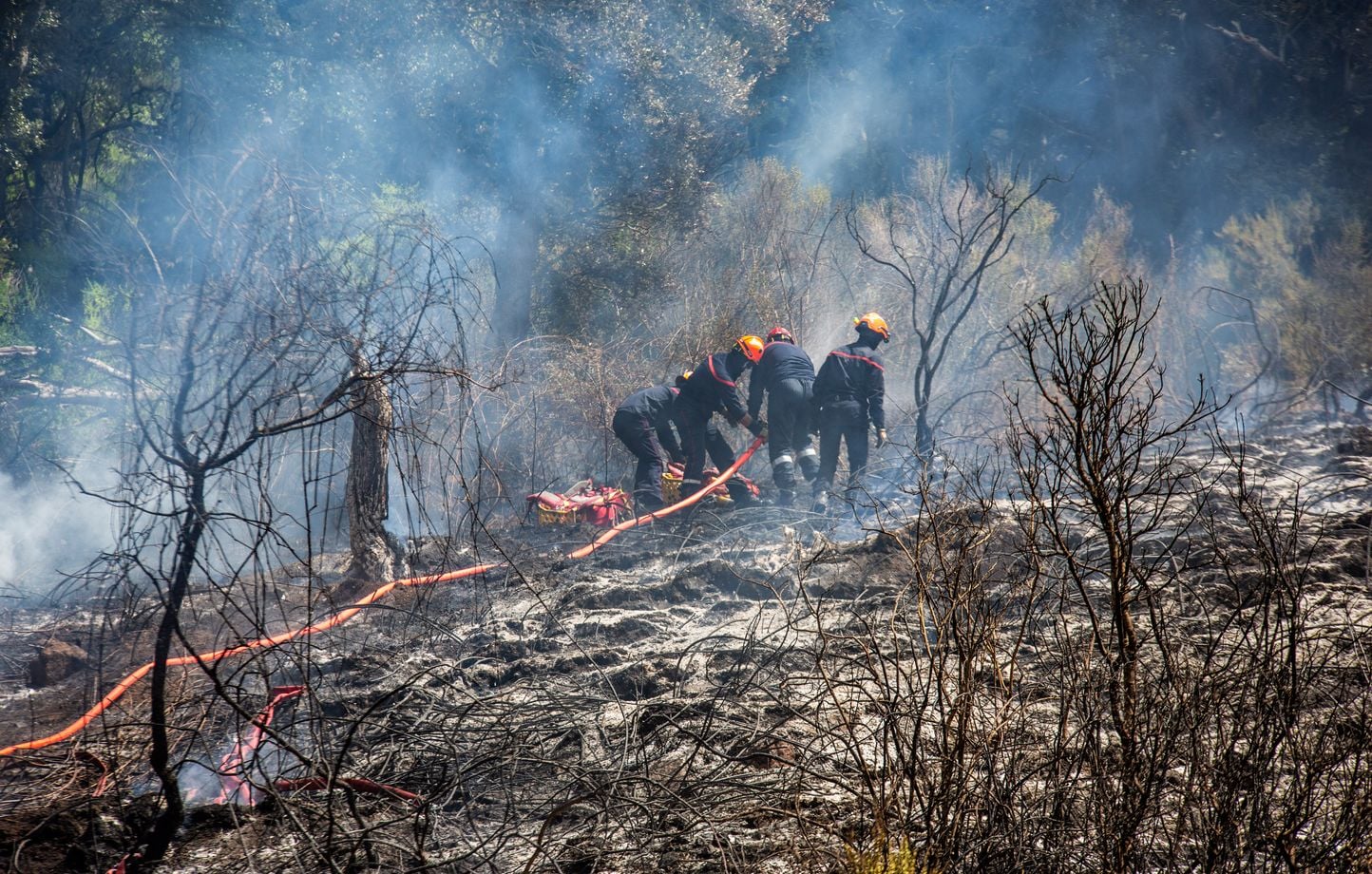 Los incendios avanzan en zonas de difícil acceso y 400 hectáreas se han convertido en humo Los incendios avanzan en zonas de difícil acceso y 400 hectáreas se han convertido en humo